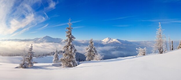 Landscape panorama of a frosty day in the mountains