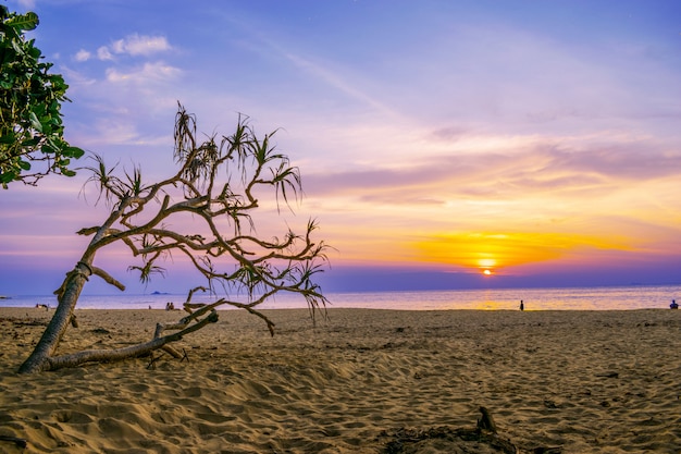 Paesaggio della spiaggia tropicale dell'isola di paradiso, colpo di alba