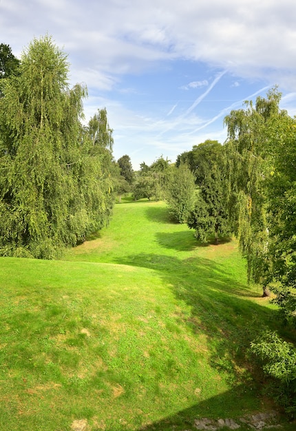 Photo landscape park in the summer. the trees on the green hills