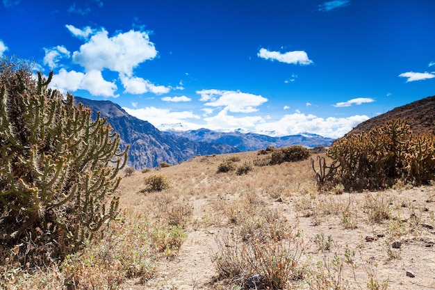 Landscape Peru