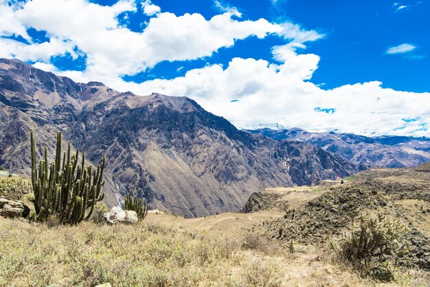 Landscape of Peru