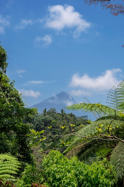 Foto di paesaggio. vista del monte raung banyuwangi con cielo azzurro e nuvole.