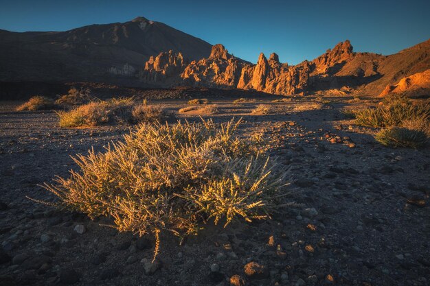 Landscape photography from tenerife island spain