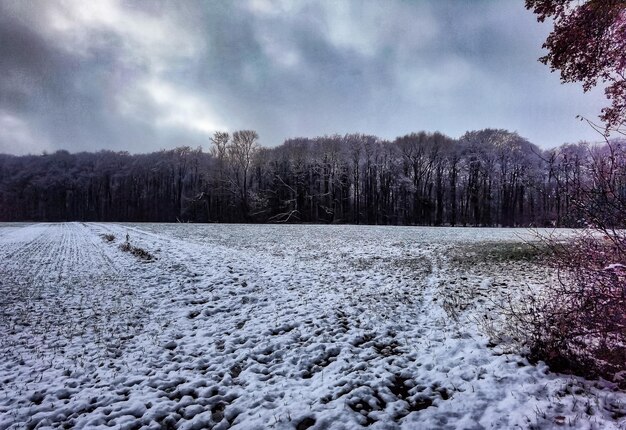 Landscape photography of nature in Northern Germany