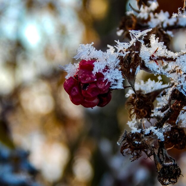 Landscape photography of nature in Northern Germany