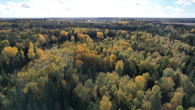 Пейзажная фотография, Фото природы, Озеро Река, Лес, Вудс, Вид сверху, удивительная природа