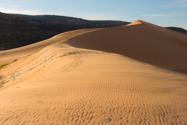 애리조나 사막의 풍경 사진