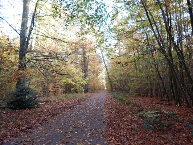 landscape photos from autumn in Northern Germany