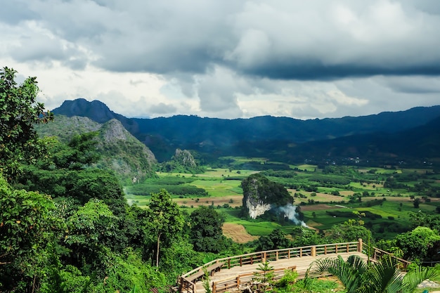 Пейзаж горного лесного парка Фу-Ланки в провинции Фаяо Таиланд