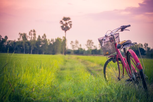 Пейзажная фотография Урожай Велосипед с полем летней травы на закате