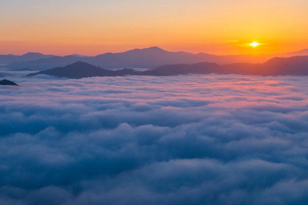 ヤラー県のアトラクションの風景写真