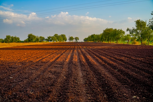 Landscape of a plowed field ready for sowing