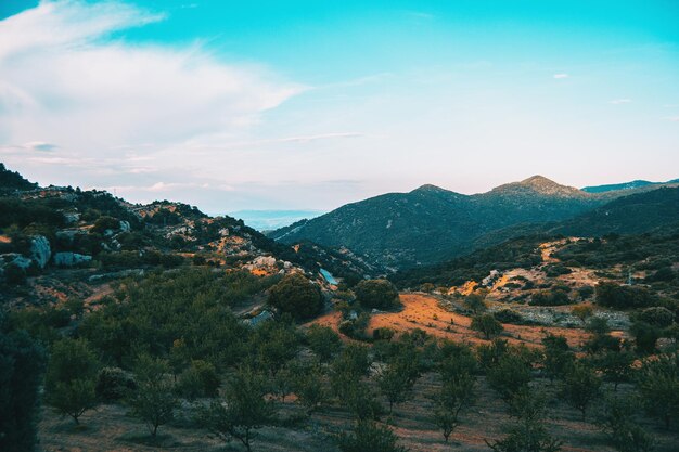 Landscape of the prades mountains in tarragona spain a sunny summer day with green trees