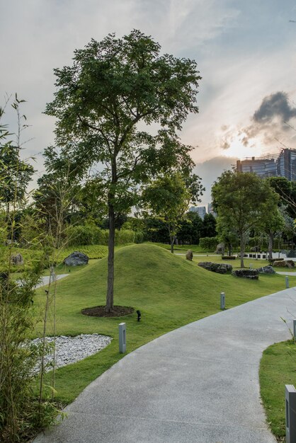 刈られた芝生の遊歩道がある景観の良い公園