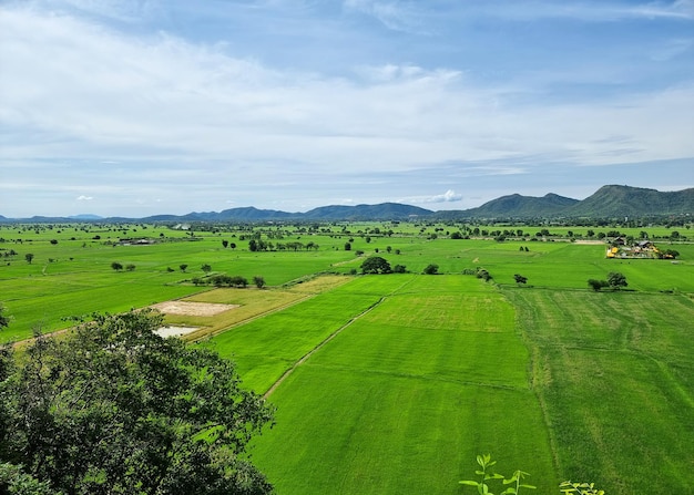 The Landscape rice field on mountain cloud and blue sky background