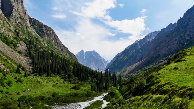 Photo landscape of a river flowing through green mountains