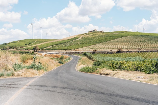 マルサラ シチリア島のブドウ畑に囲まれた道路の風景