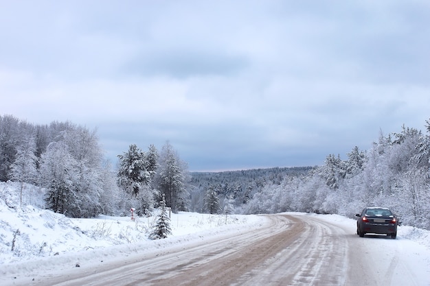 Strada del paesaggio nella foresta invernale con la natura selvaggia innevata