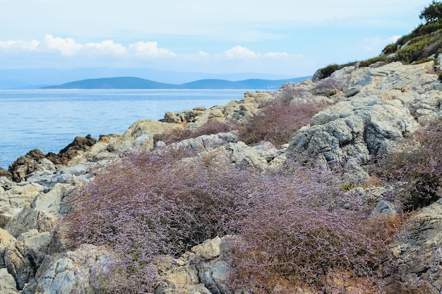 landscape rocky shore of the Aegean Sea in Bodrum