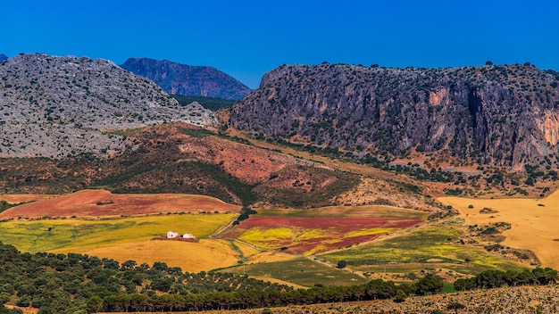 Foto paesaggio in rurale, andalusia, spagna.