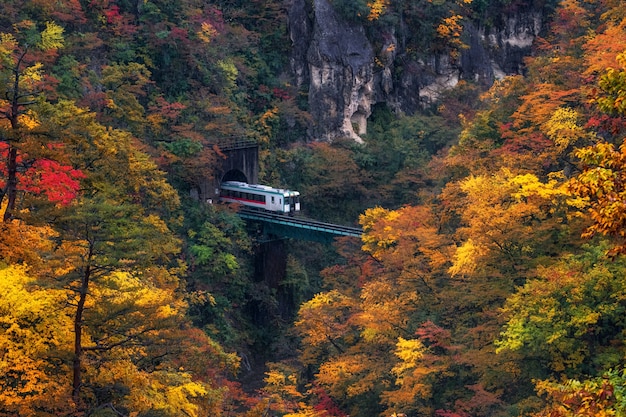 多色秋の驚異的な鳴子渓谷の風景風景