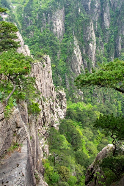 Foto punto panoramico del paesaggio delle montagne gialle di huangshan una catena montuosa nella provincia meridionale dell'anhui nella cina orientale è un sito del patrimonio mondiale dell'unesco