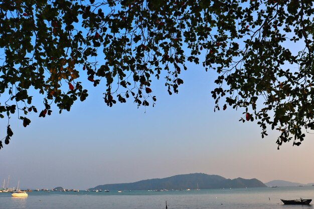 Landscape of the sea coast, sea, yachts, boat on the water