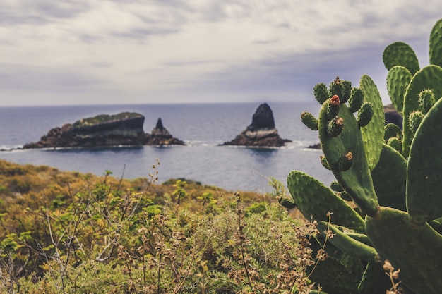 Photo landscape of the sea