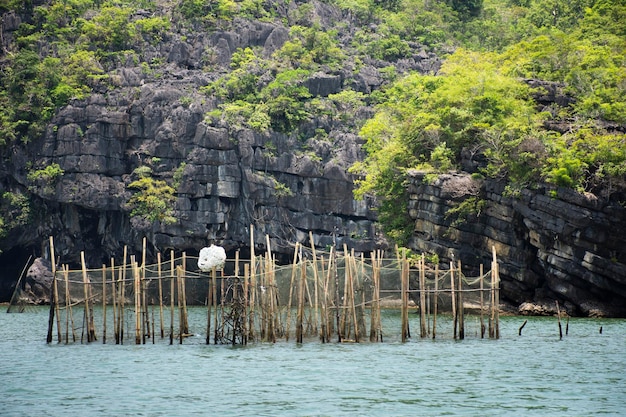 タイのサトゥーン市のパクバラウォーターフロントにあるムーコペトラ国立公園の海で、タイの漁師の竹の檻で海の景色を眺め、海の魚の養殖場を育てます。
