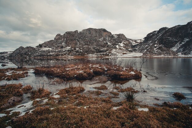 Landscape shot of the grass in the middle of the lake