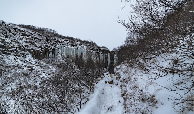 遠くにスヴァルティフォスの凍った滝があるアイスランドの風景と雪山