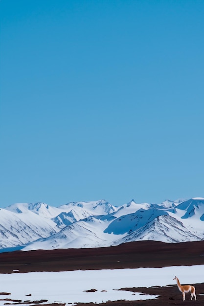 Landscape of a snowy mountains in South America