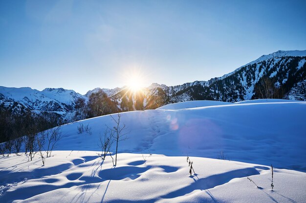 Landscape of snowy mountains