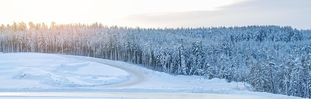 Landscape snowy winter forest panoramic view of frostcovered trees in snow drifts