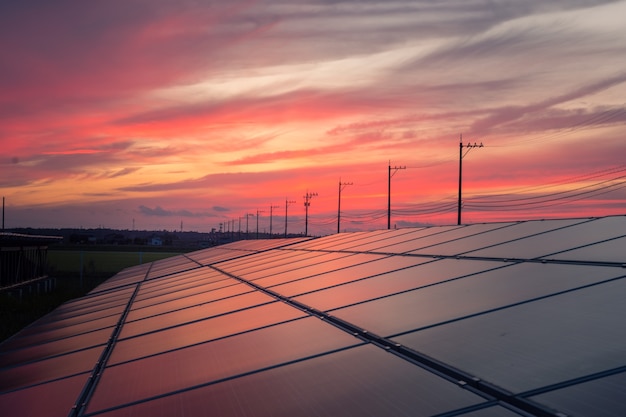 Photo landscape of solar farm at sunset