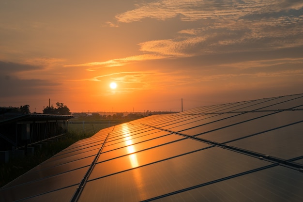 landscape of Solar Farm at sunset