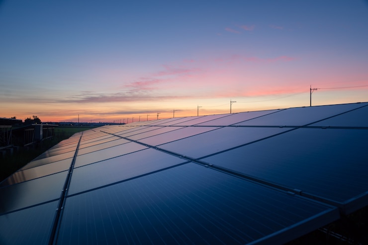 Photo landscape of solar farm at sunset