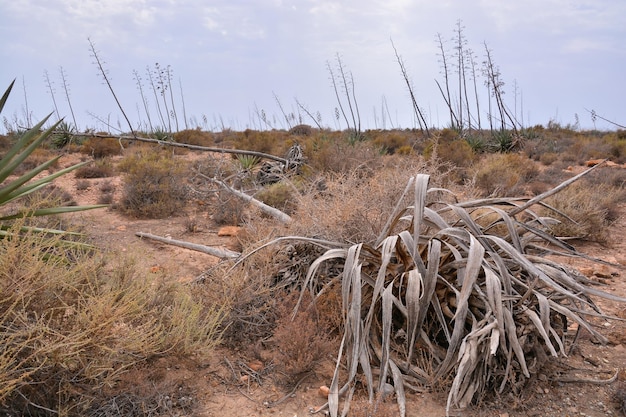 Photo landscape in south spain