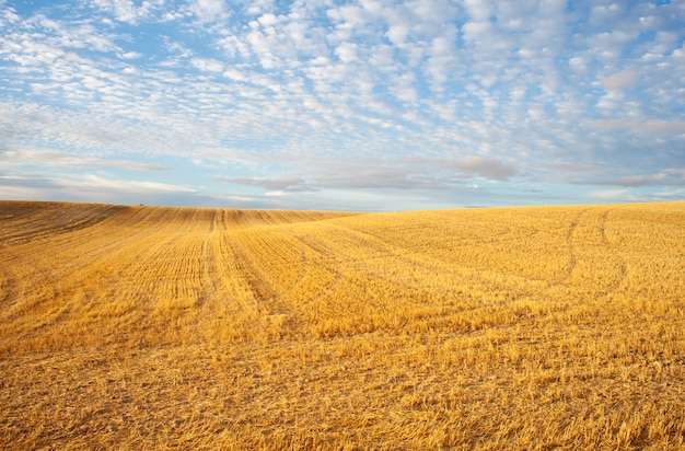 Landscape, Spain