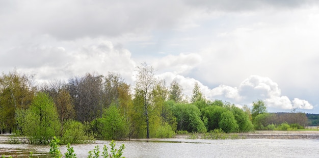 Paesaggio - boschetto primaverile di alberi allagati durante l'acqua alta