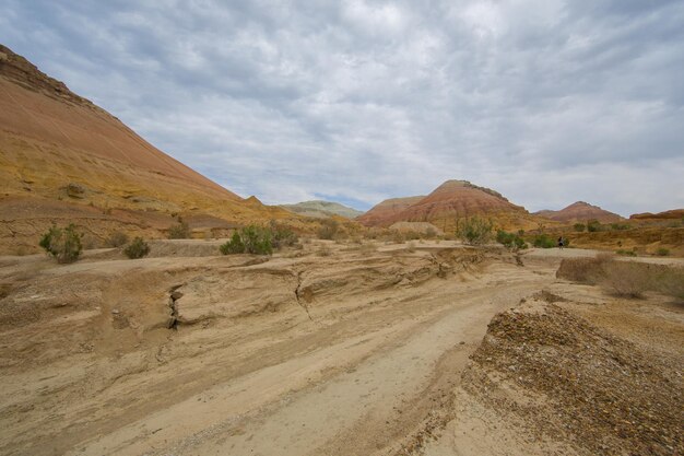 the landscape of a stone desert with hills
