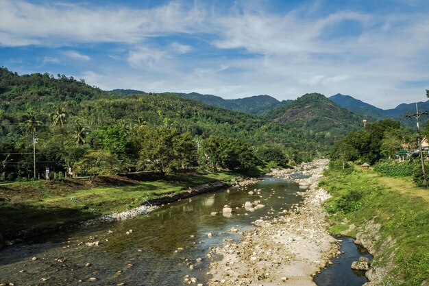 Landscape of stream and mountain