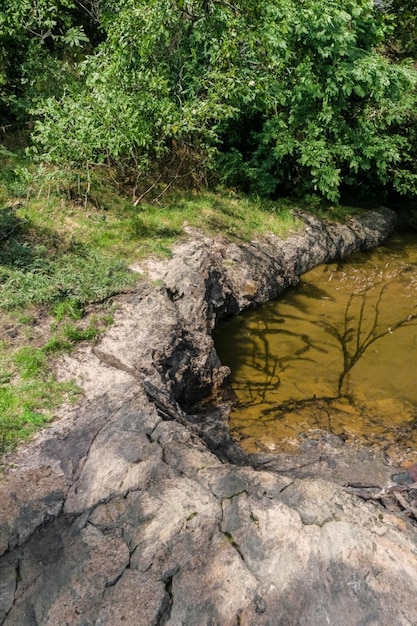 Landscape next to a stream