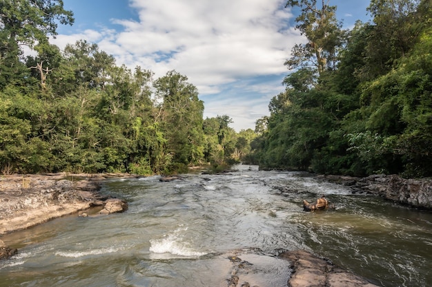 Landscape of streams and forests