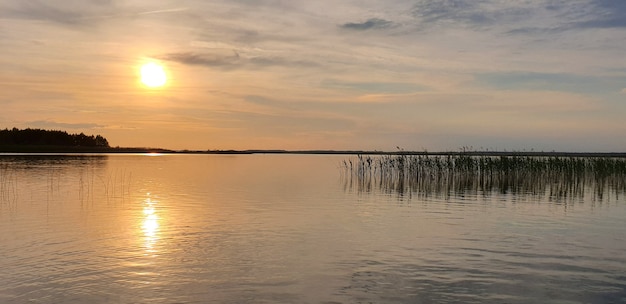 landscape of a summer lake with waves and reeds in a bronze evening