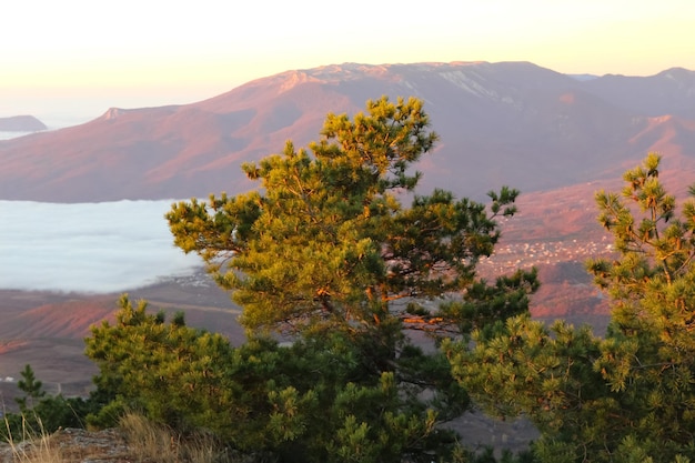 Landscape of the sun rising in the mountains Red reflexes from the sun on rocks and pines