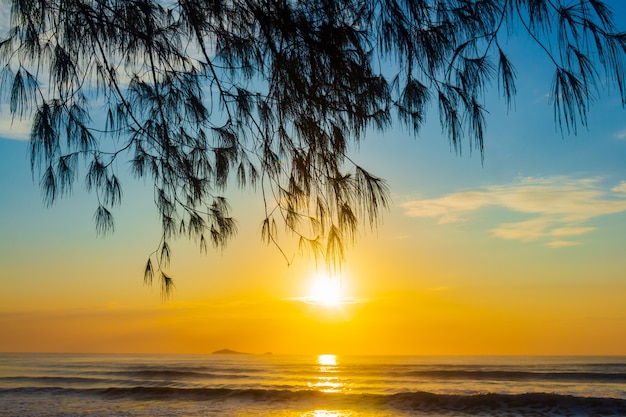 Landscape of the sunrise at the beach