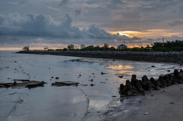 landscape sunset scene at the lowtide swampy