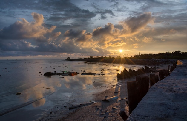 landscape sunset scene at the lowtide swampy