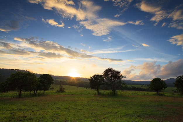 Landscape sunset at Thung Salang Luang National Park PhetchabunTung slang luang